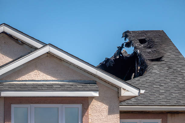 Top rated local Odor Removal specialists in Mayer, MN
